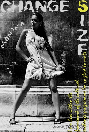 Kľúčové slová: Monika-Z